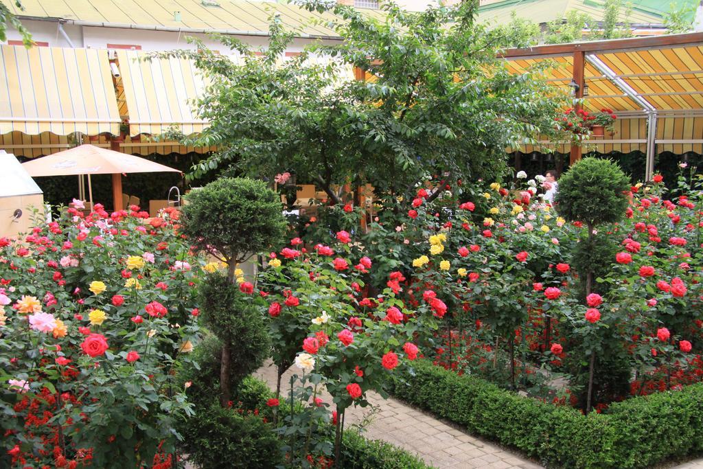 Hotel Marshal Bucharest